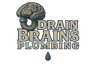 Drain Brains Plumbing